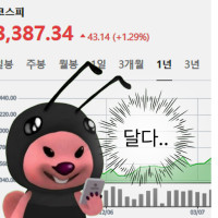 코스피 역사상 최고점 갱신 이미지